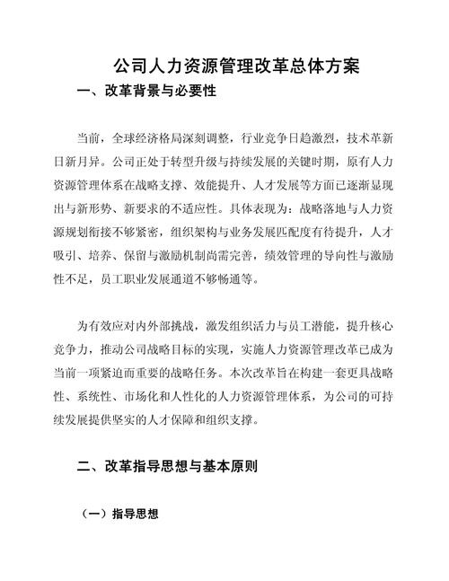 公司人力资源管理改革总体方案