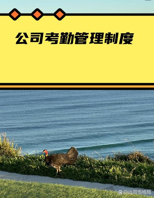 作为行政或人力资源管理者,我们需要